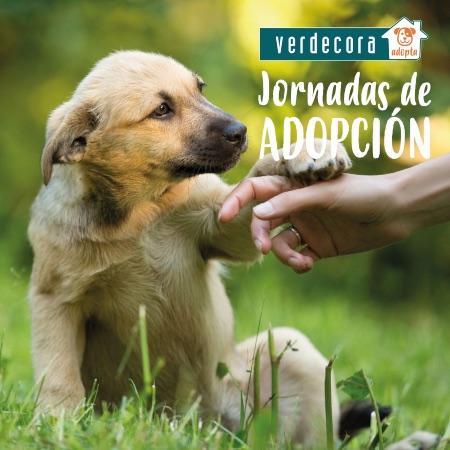 Jornadas de Adopción Verdecora
