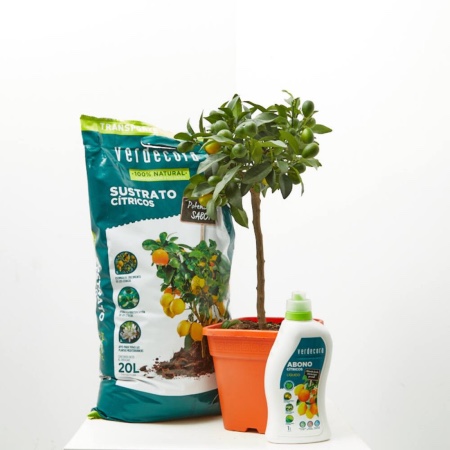 Árboles frutales en Verdecora