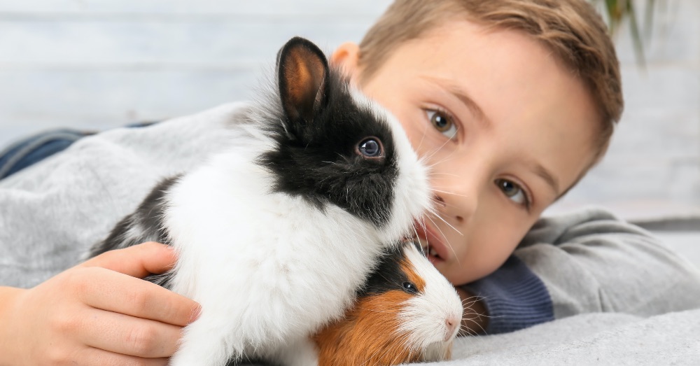 Ley de bienestar animal: resuelve tus dudas