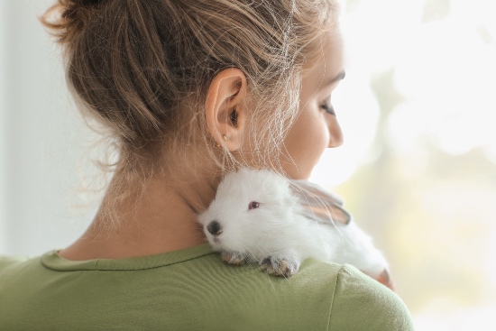 ¿Se pueden comprar animales con la nueva Ley de Bienestar Animal?