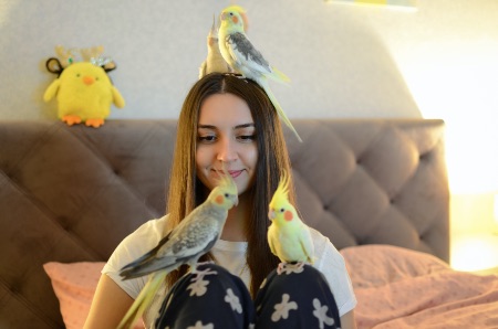 ¿Se pueden tener aves con la nueva Ley de Bienestar Animal?