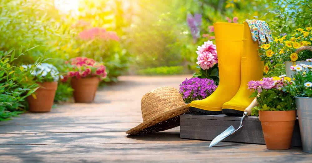 Cómo elegir las plantas de exterior perfectas