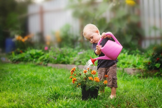Qué considerar para elegir plantas de exterior