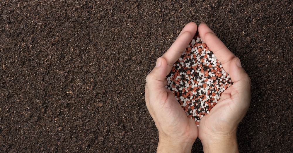 Abonos naturales y los abonos químicos: ventajas e inconvenientes