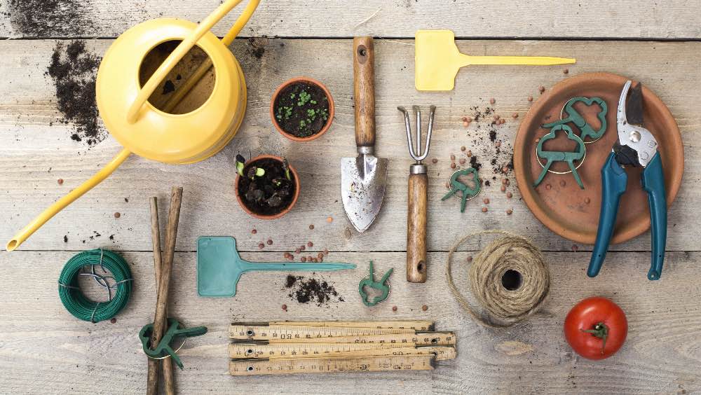 Qué herramientas de jardinería necesitas para atender a tus plantas