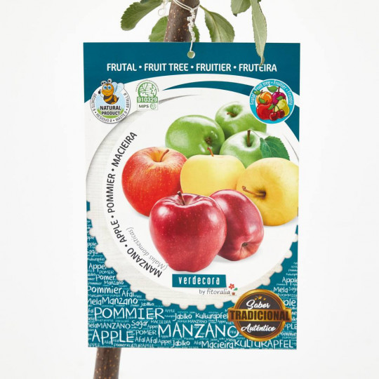 Manzano residuo cero Verdecora, uno frutales para plantar en invierno