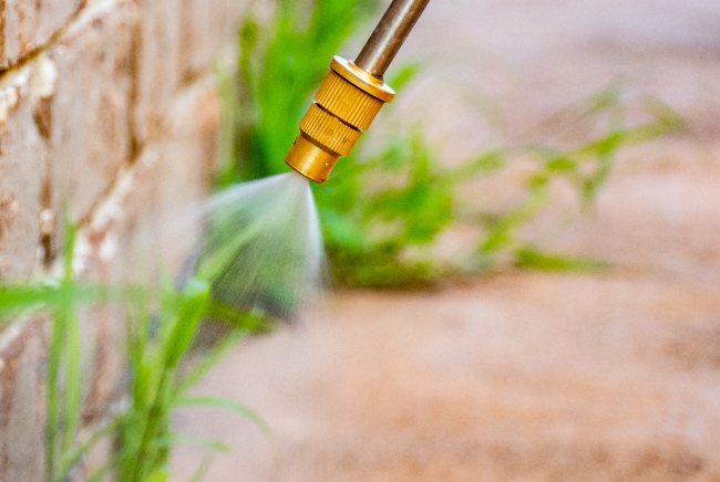 Cómo actúa el herbicida natural