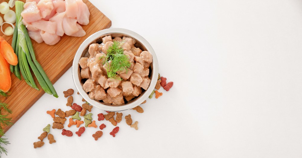 Qué es la alimentación congelada para perros y cuáles sus ventajas
