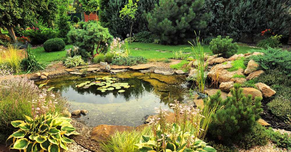 Beneficios de tener un estanque en el jardín para la biodiversidad
