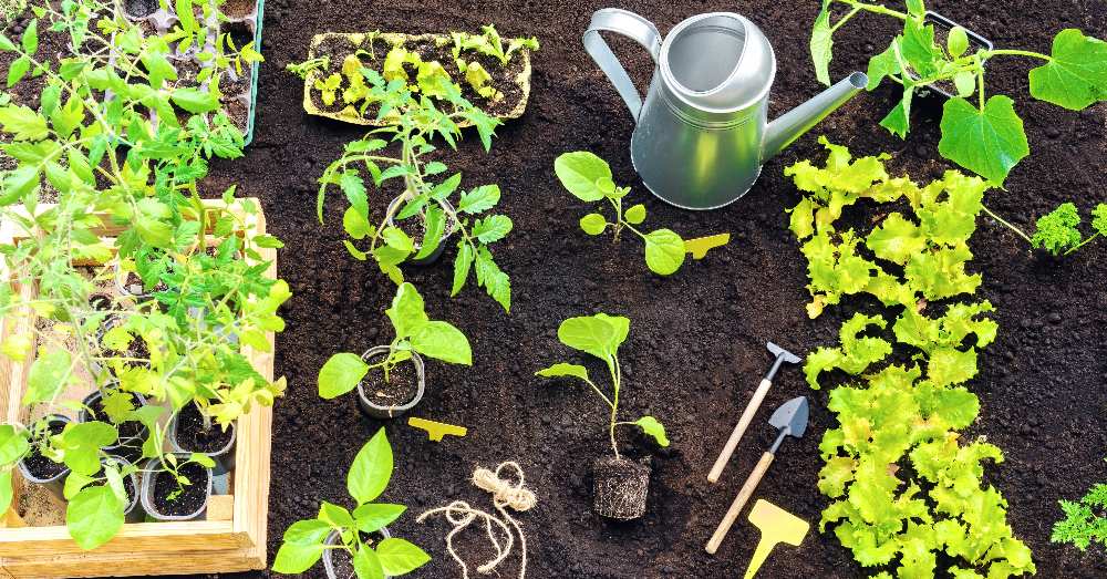 Calendario anual de huerto