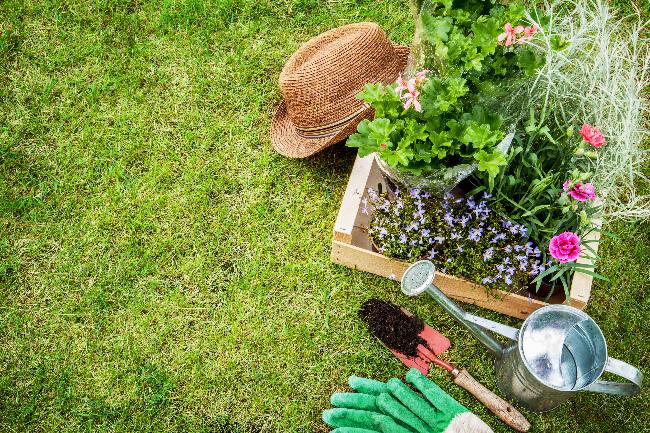 Plantas para el jardín de primavera