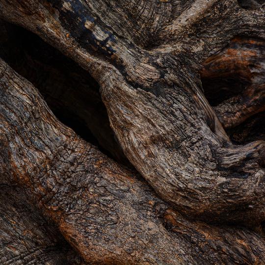 Madera de olivo para barbacoas