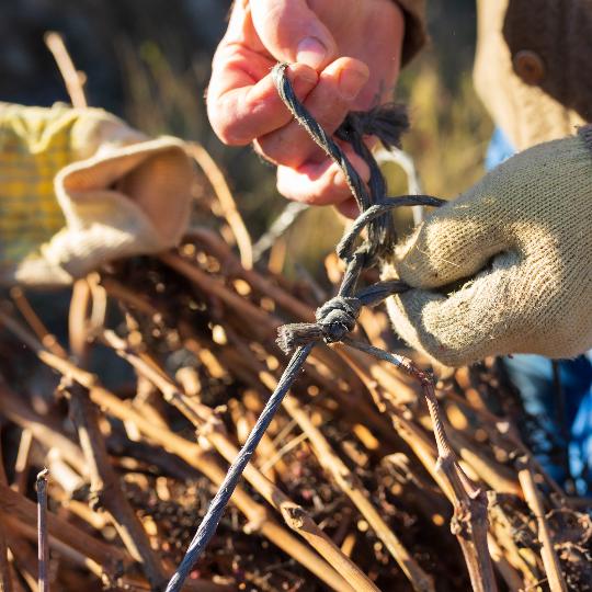 Sarmiento para encendido de barbacoa