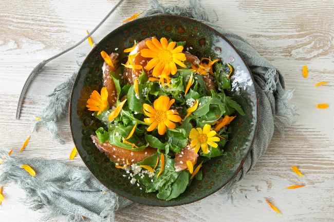 Sabor de la flor de la Caléndula, una flor comestible