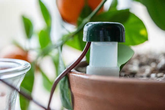SIstemas para regar plant en vacaciones