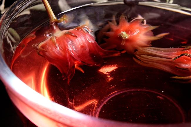 Infusión con flor de Hibiscus