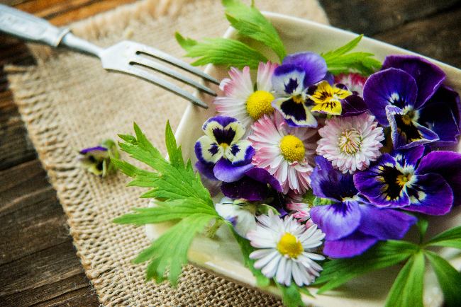 Cómo cultivar flores comestibles