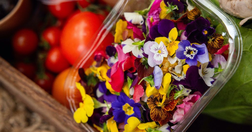 7 Flores comestibles para decorar y enriquecer tus platos