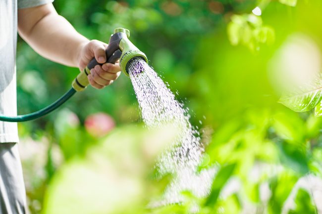 Regar en profundidad, un cuidado del jardín en verano fundamental