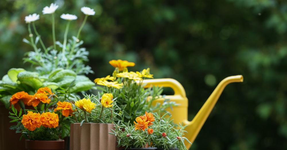 Los secretos de los expertos para el cuidado del jardín en verano