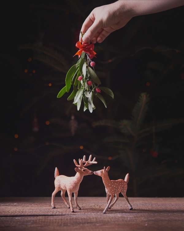 Tradiciones del muérdago en Navidad