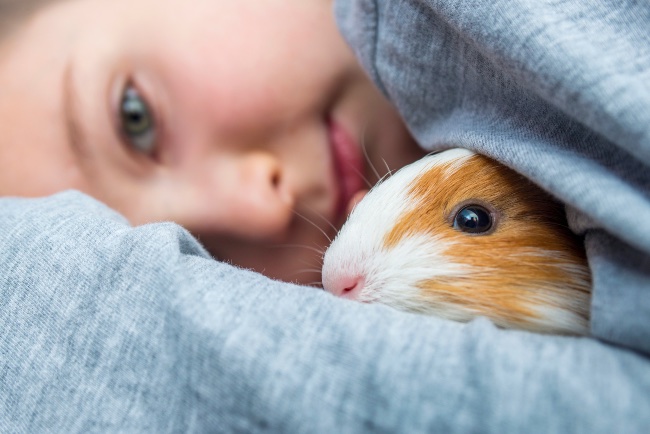 Niño y cobaya