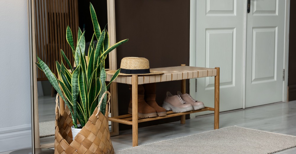 8 plantas que no necesitan luz para poner en pasillos oscuros