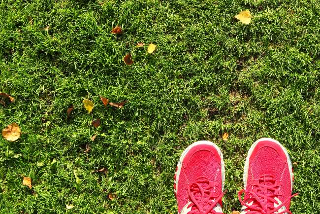 Evitar pisar, uno de los cuidados del césped en invierno