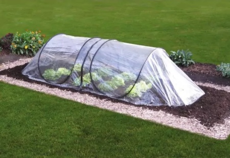 Invernaderos de huerto y jardín