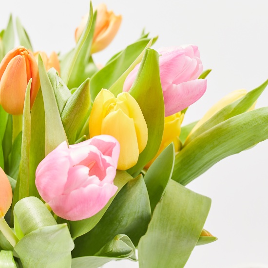 Ramo de flores para San Valentín de tulipanes de colores