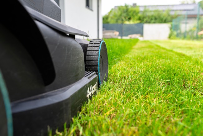 Reduce la siega, uno de los cuidados de césped en invierno