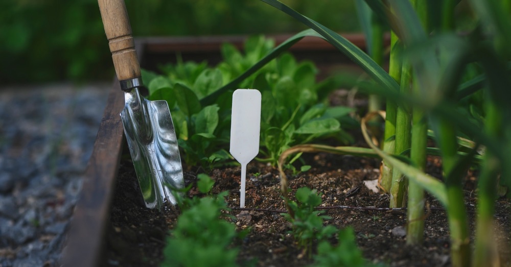 Calendario del huerto: qué plantar en marzo