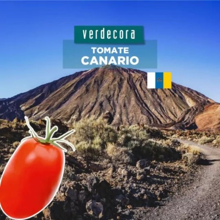 Tomate canario Verdecora