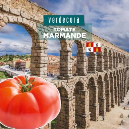 Tomate Marmande de Castilla y León Verdecora