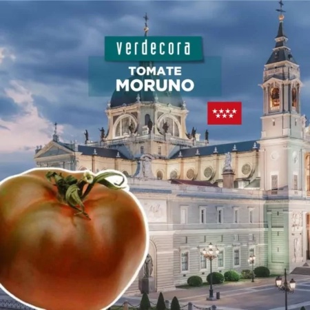 Tomate moruno de Madrid Verdecora