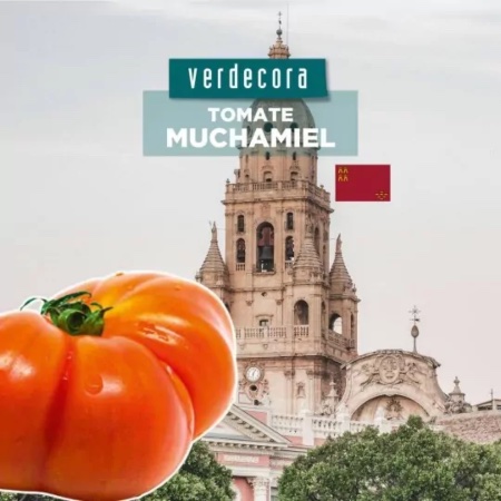 Tomate muchamiel Murcia Verdecora