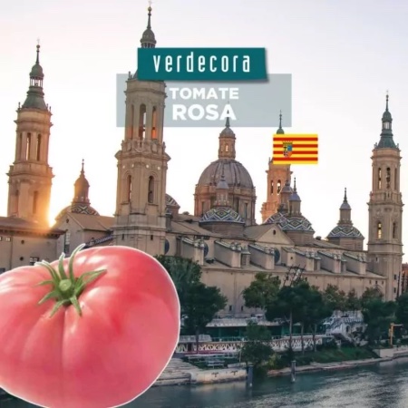 Tomate rosa de Aragón Verdecora