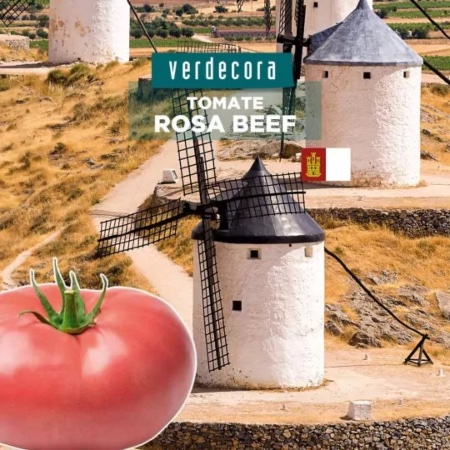 Tomate rosa Beef Castilla La Mancha Verdecora