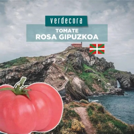 Tomate rosa Gipuzkua País Vasco Verdecora