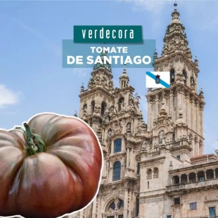 Tomate De Santiago Galicia Verdecora