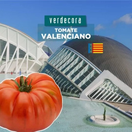 Tomate valenciano Verdecora