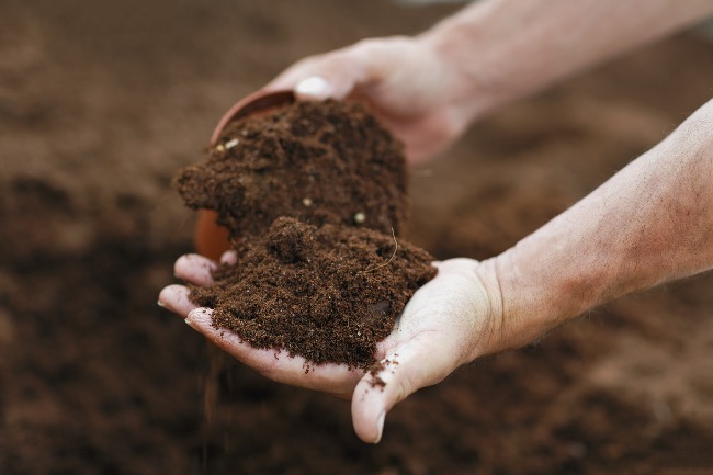 La estructura, un detalle fundamental para la fertilidad de la tierra.