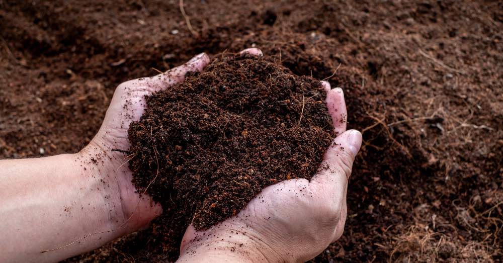 Cómo mantener la fertilidad de la tierra del huerto todo el año