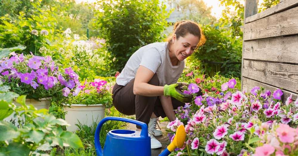 Las mejores plantas con flor para cada estación: guía de temporada