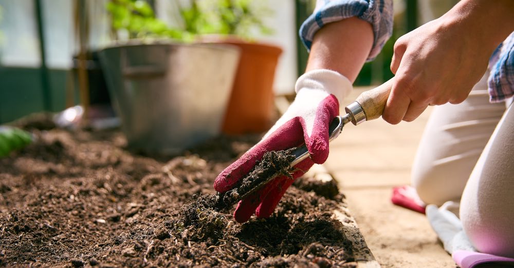 Cómo preparar el terreno del jardín para sembrar en primavera