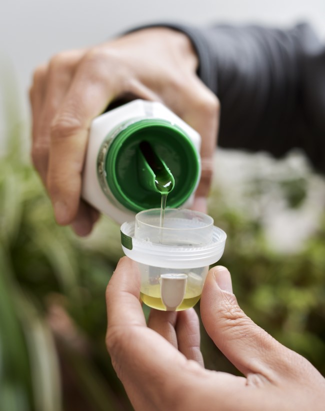 Clases de abonos para plantas en Verdecora