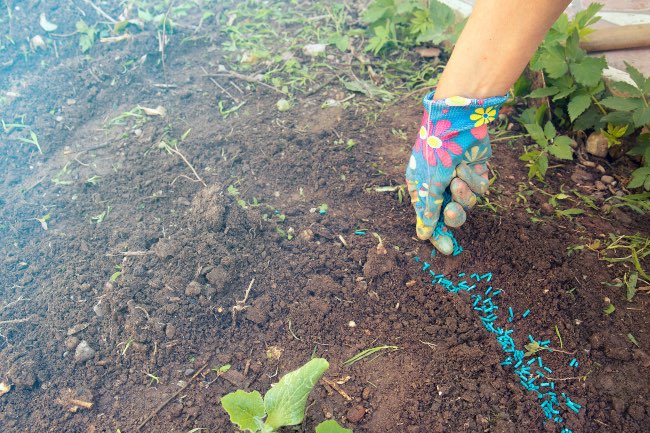 Veneno ecológico para caracoles y babosas