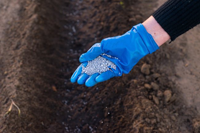Cómo fertilizar el huerto