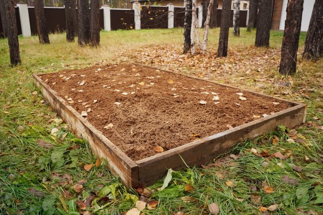 Cómo abonar el huerto en otoño