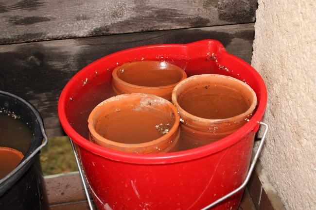 Limpieza de macetas de barro vacías